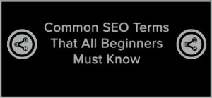 Common SEO Terms That All Beginners Must Know