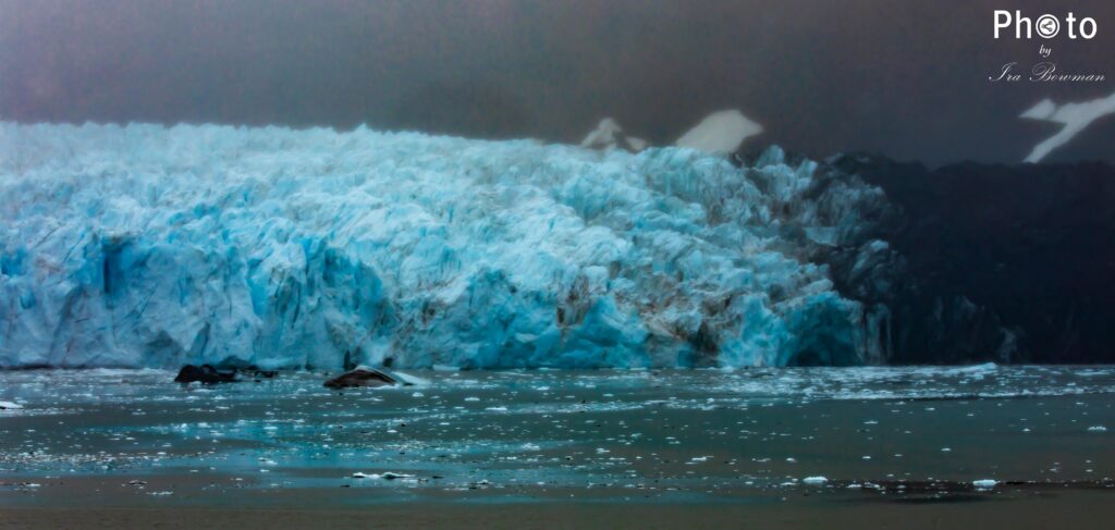 Glacier Bay by Ira Bowman